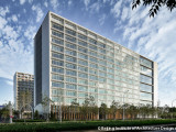 The Star of Daxing