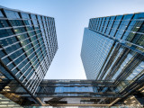 Shanghai Mangoohub