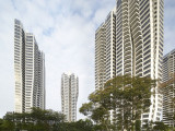 d'Leedon