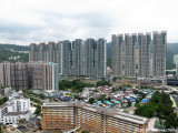 Festival City