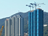 Festival City