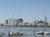Shore