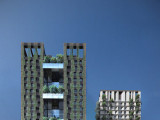 Sky Green