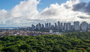 Salvador