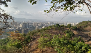 Thane