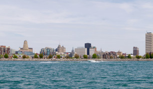 Buffalo