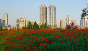 Bucheon